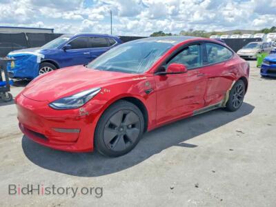 2021 Tesla MODEL 3, красный — VIN 5YJ3E1EA7MF955634, Copart