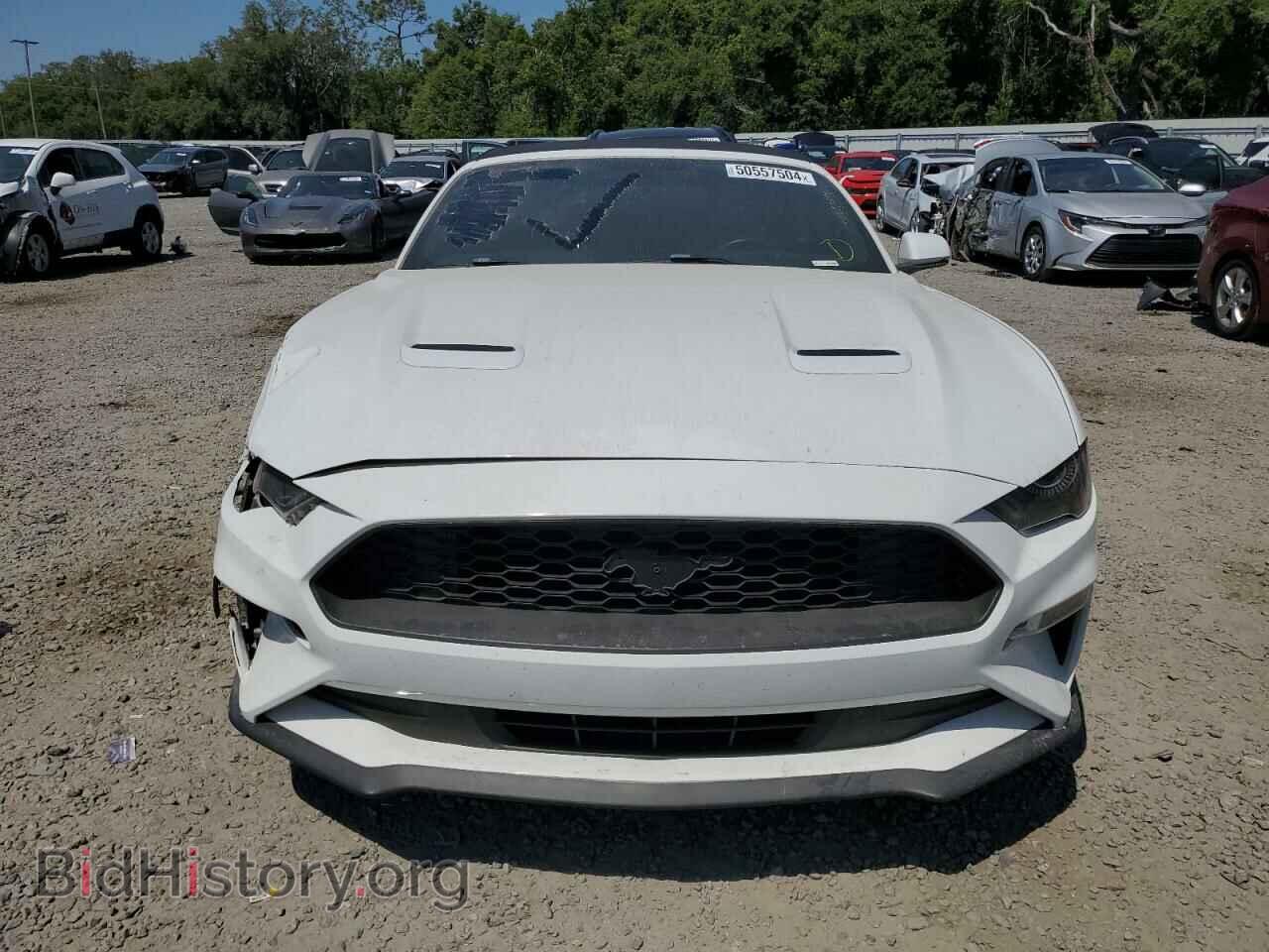 2019 FORD ALL Models - VIN: 1FATP8UH4K5104431 - Фото 5