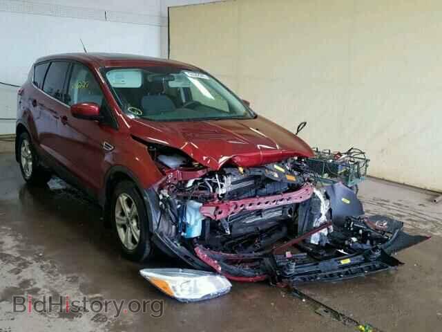 Фотография 1FMCU9GX9EUD36976 - FORD ESCAPE 2014