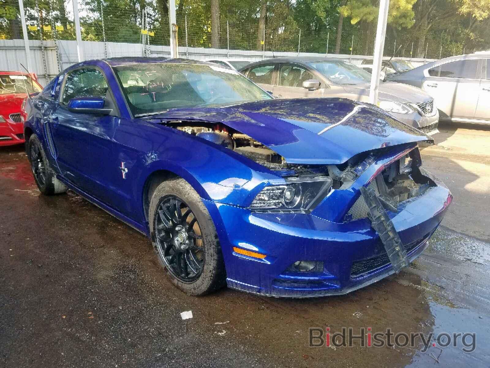 Photo 1ZVBP8AM4D5273534 - FORD MUSTANG 2013