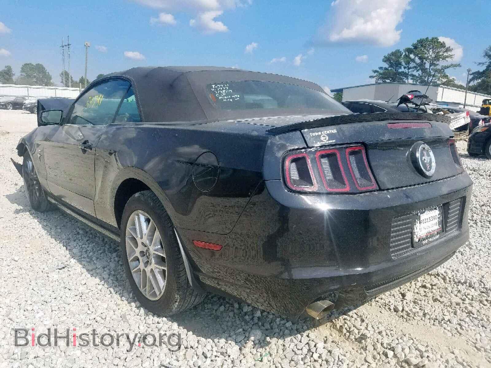 2014 FORD MUSTANG - VIN: 1ZVBP8EM8E5257977 - Фото 3