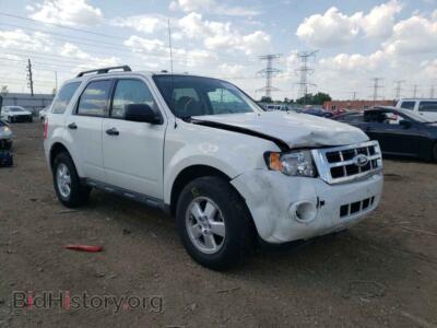 2010 Ford ESCAPE Escape XLT, белый — VIN 1FMCU0D77AKA30199, Copart