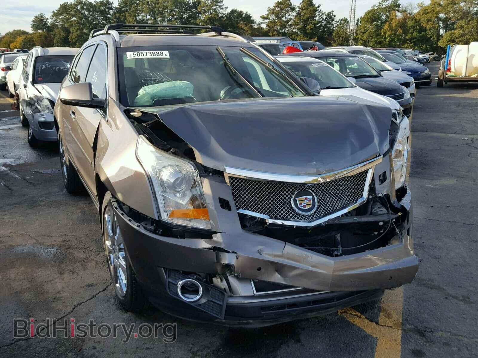 Фотография 3GYFNBE36CS627285 - CADILLAC SRX PERFOR 2012