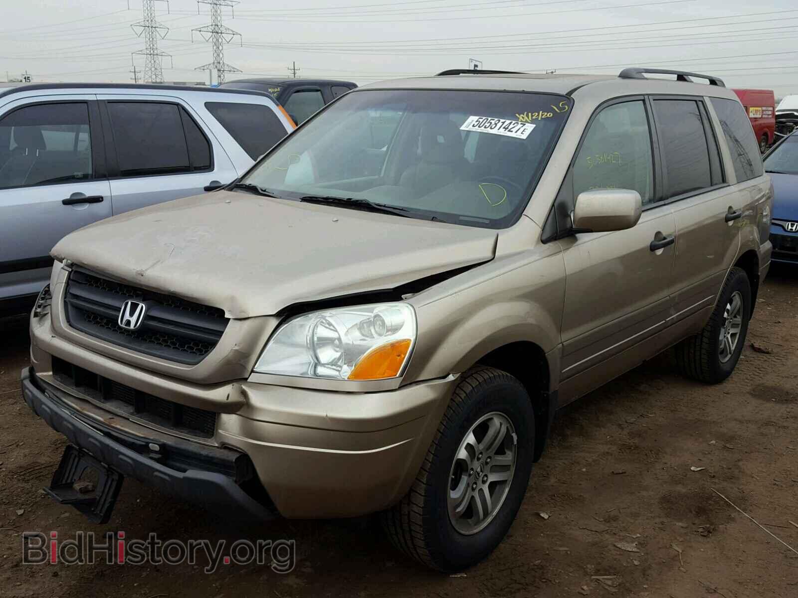 2005 HONDA PILOT - VIN: 5FNYF18565B013254 - Фото 2