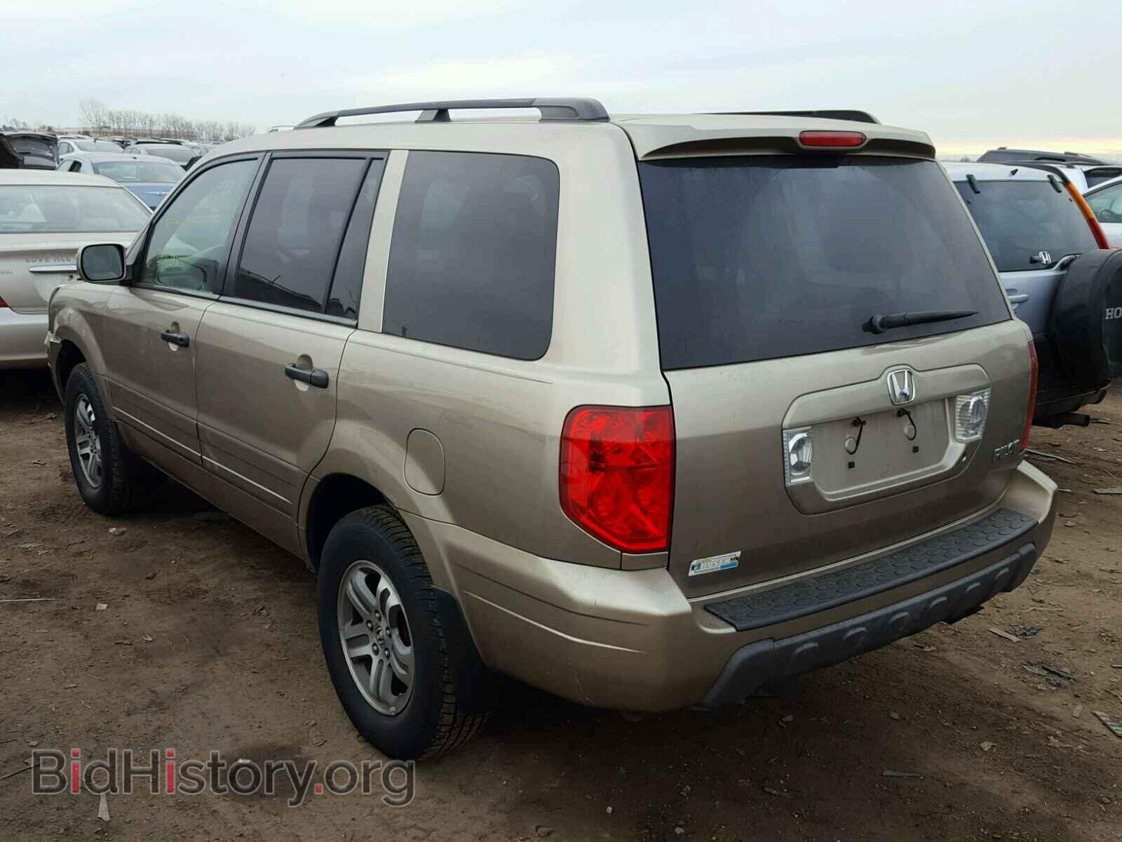 2005 HONDA PILOT - VIN: 5FNYF18565B013254 - Фото 3