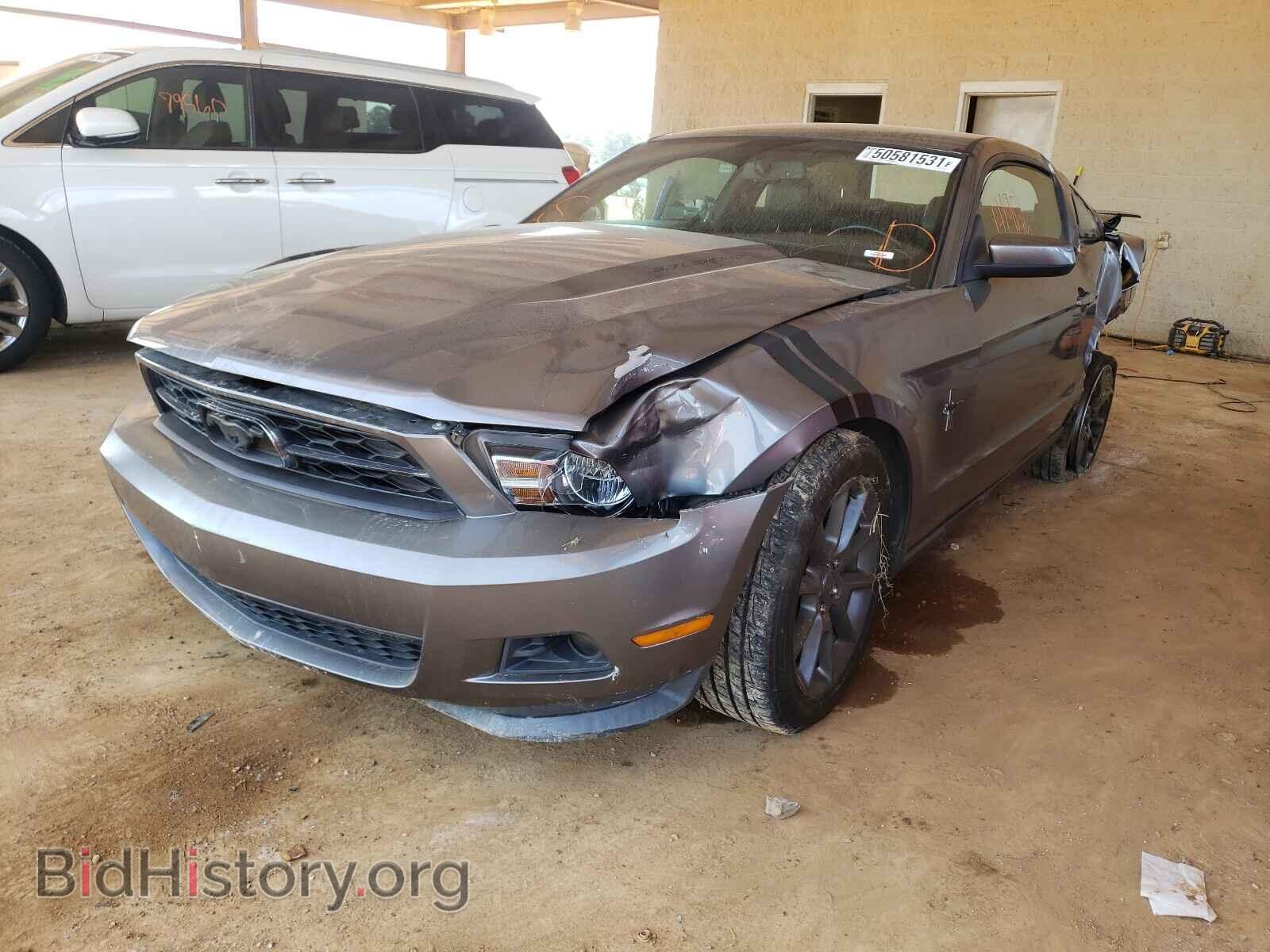 2011 FORD MUSTANG - VIN: 1ZVBP8AM5B5147406 - Фото 2