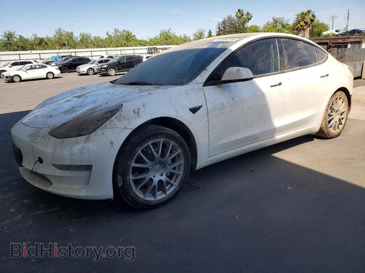 Photo 5YJ3E1EA4PF462742 - TESLA MODEL 3 2023