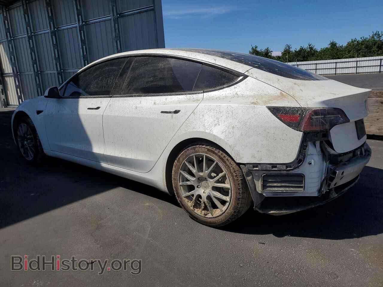 2023 TESLA MODEL 3 - VIN: 5YJ3E1EA4PF462742 - Фото 2