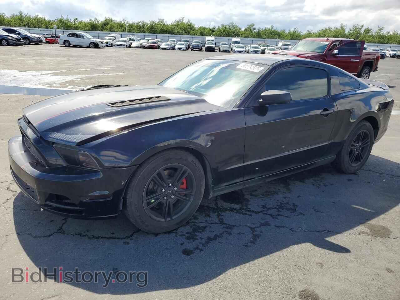 Фотография 1ZVBP8AM2E5205802 - FORD MUSTANG 2014
