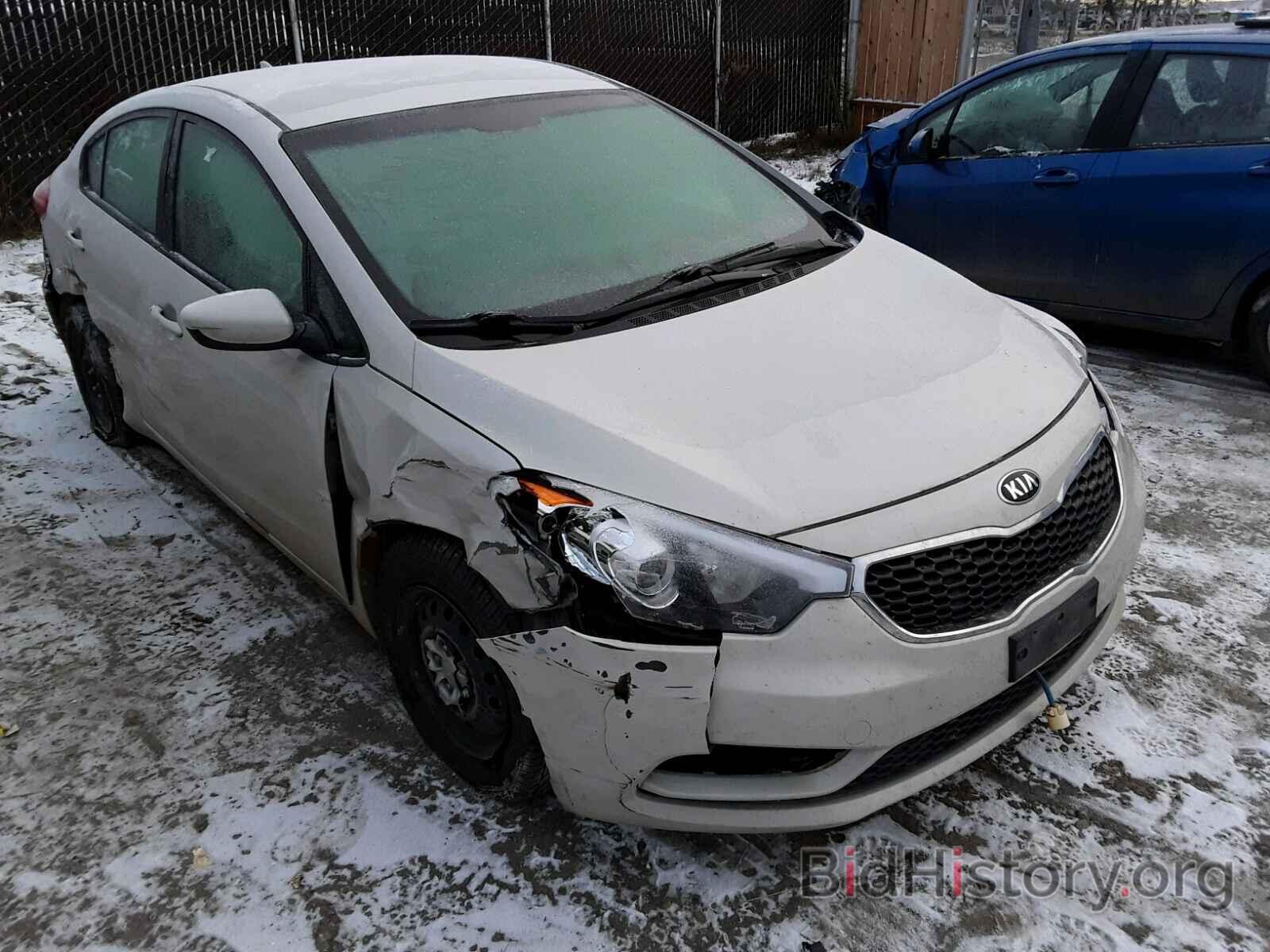 Фотография KNAFK4A66E5112579 - KIA FORTE 2014