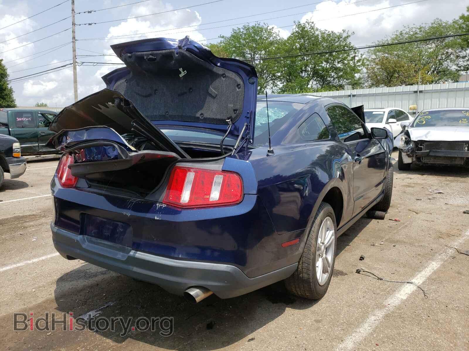 2010 FORD MUSTANG - VIN: 1ZVBP8AN1A5126513 - Фото 4