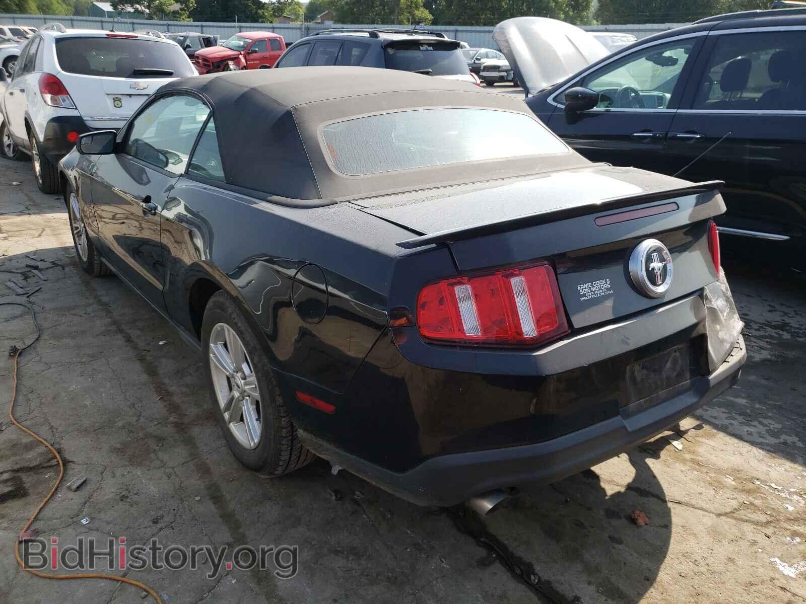 2012 FORD MUSTANG - VIN: 1ZVBP8EM2C5254604 - Фото 3