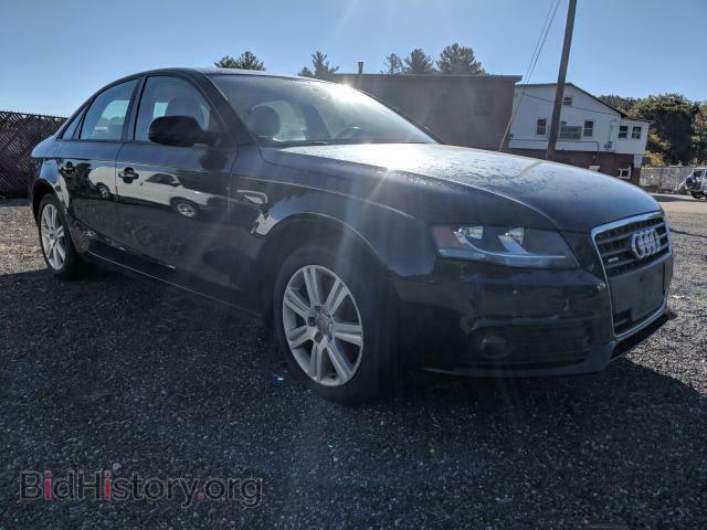 2010 AUDI A4 - VIN: WAUBFAFL9AN046815 - Фото 2