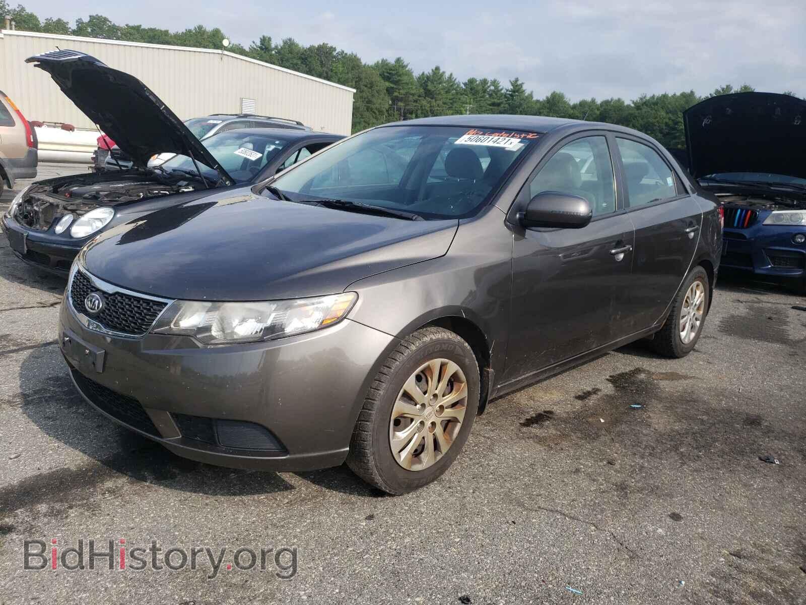 2011 KIA FORTE - VIN: KNAFU4A29B5452277 - Фото 2