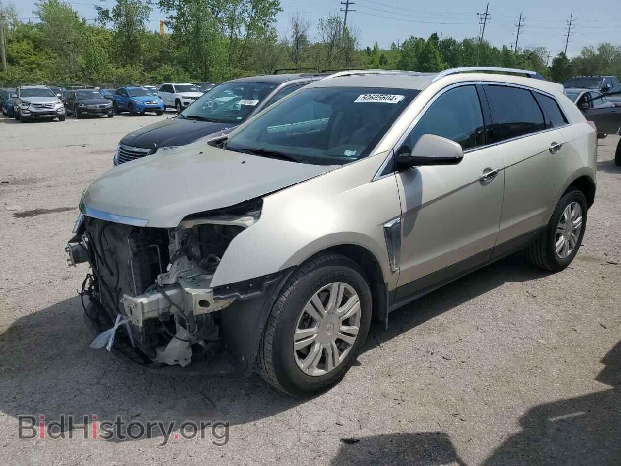 Фотография 3GYFNCE36DS559657 - CADILLAC SRX 2013