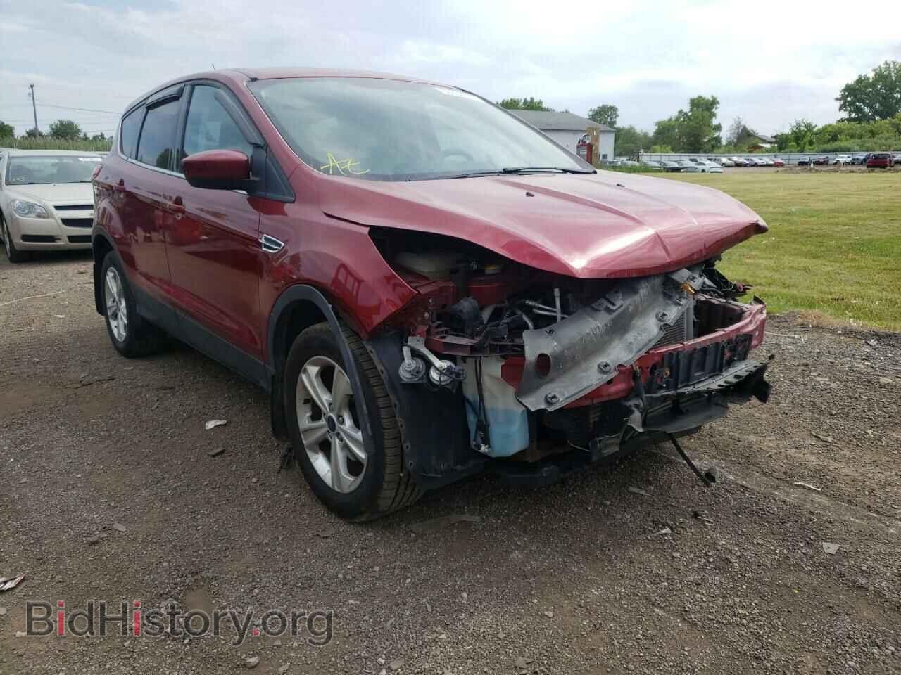 Фотография 1FMCU0GX1DUB52416 - FORD ESCAPE 2013