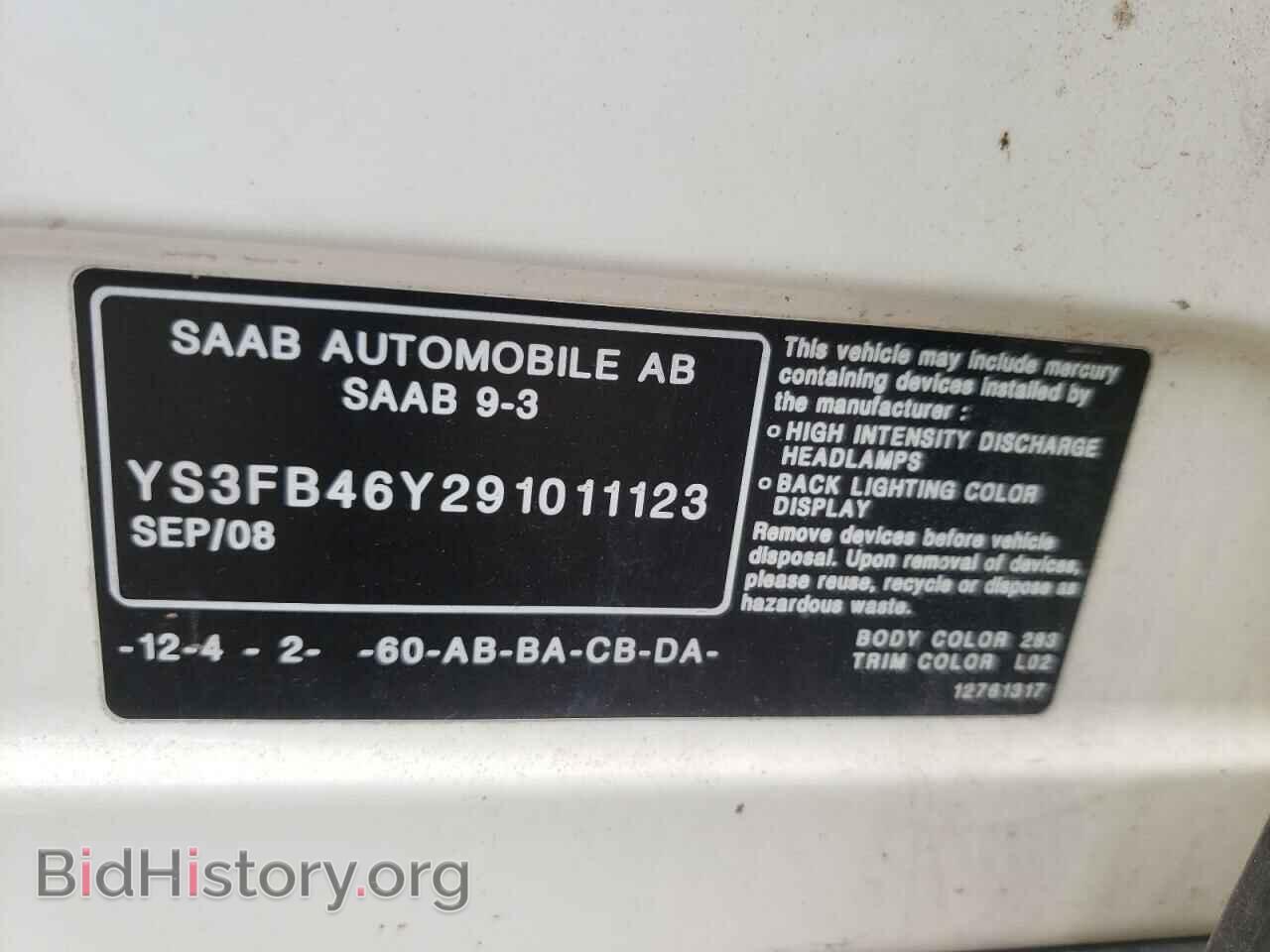 2009 SAAB 9 3 - VIN: YS3FB46Y291011123 - Фото 10