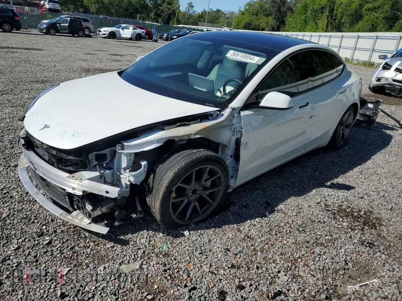 Photo 5YJ3E1EA9MF045600 - TESLA MODEL 3 2021