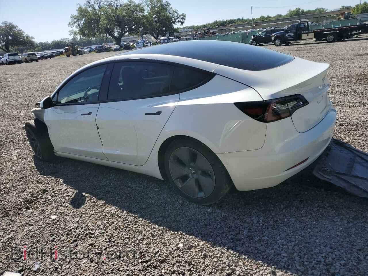 2021 TESLA MODEL 3 - VIN: 5YJ3E1EA9MF045600 - Photo 2