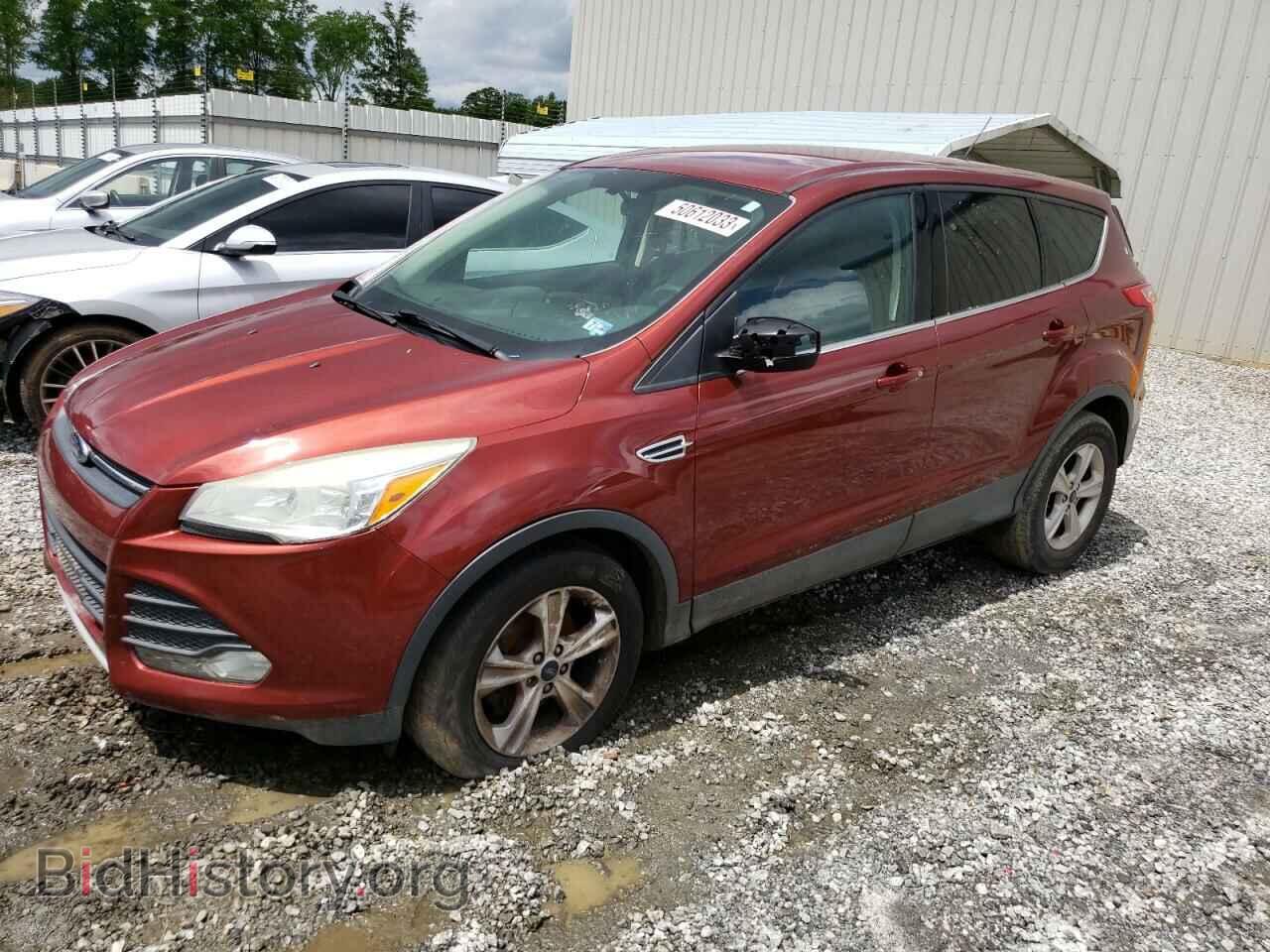 Photo 1FMCU0GX7EUA66335 - FORD ESCAPE 2014
