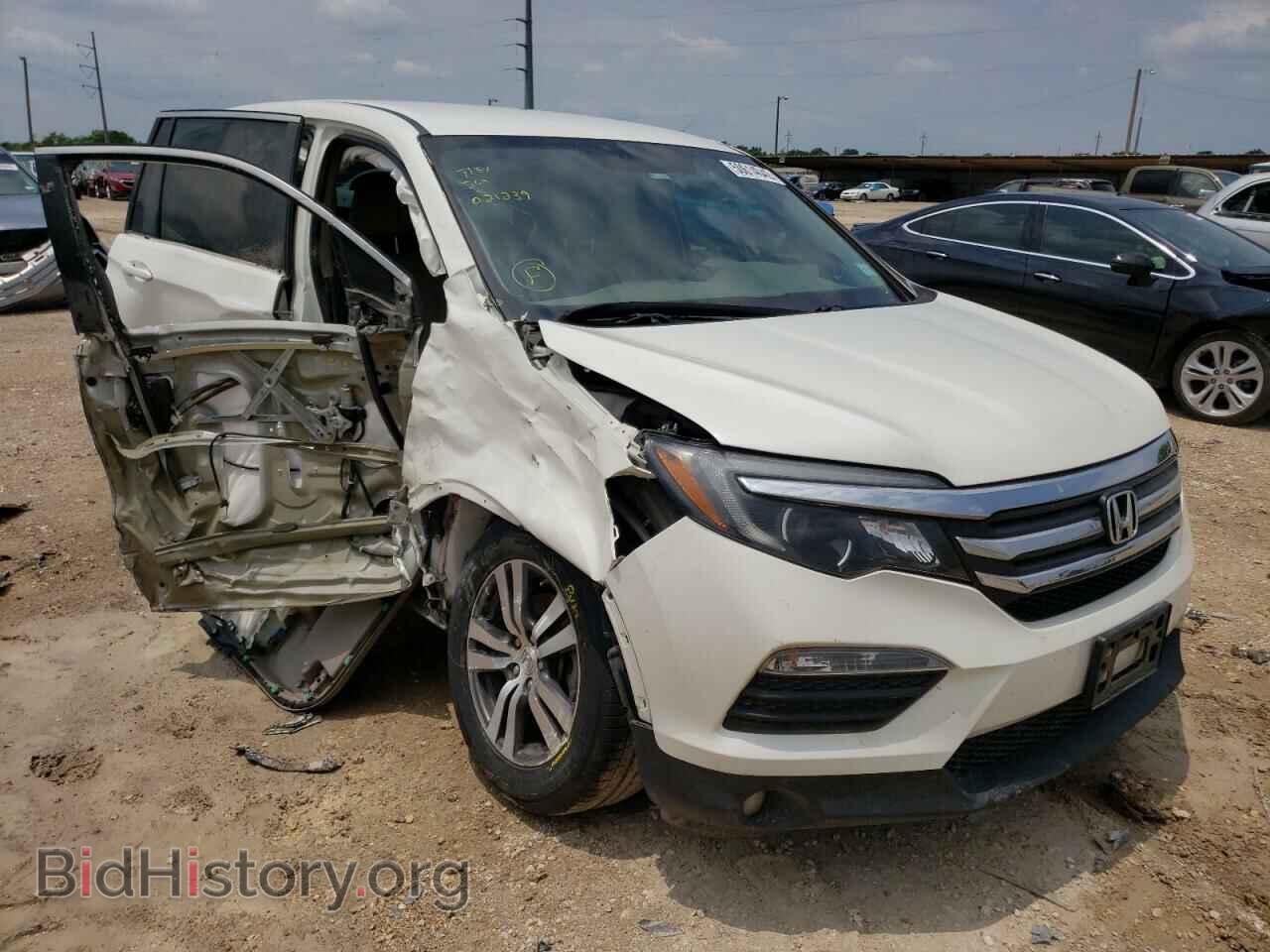 Photo 5FNYF5H36JB021239 - HONDA PILOT 2018