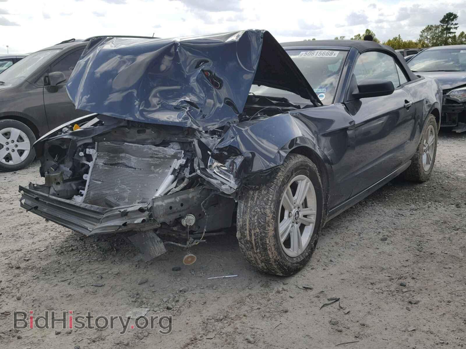 2014 FORD MUSTANG - VIN: 1ZVBP8EM9E5300108 - Фото 2