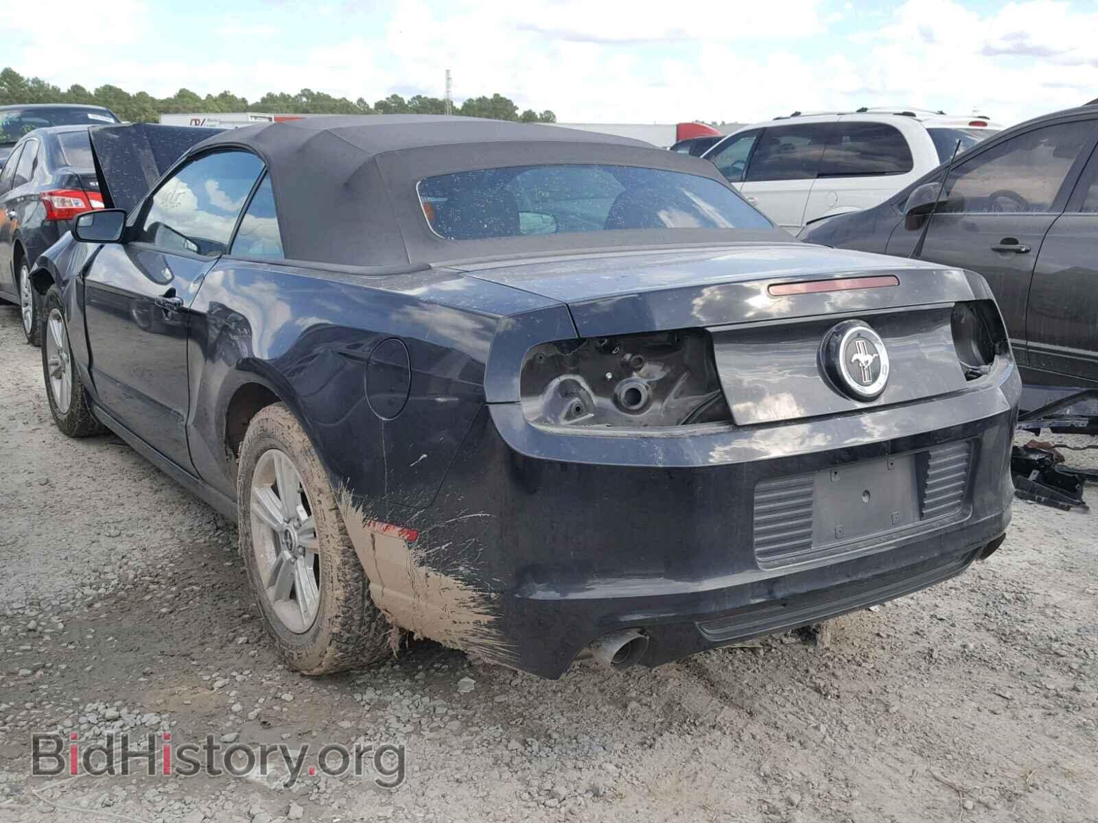 2014 FORD MUSTANG - VIN: 1ZVBP8EM9E5300108 - Фото 3