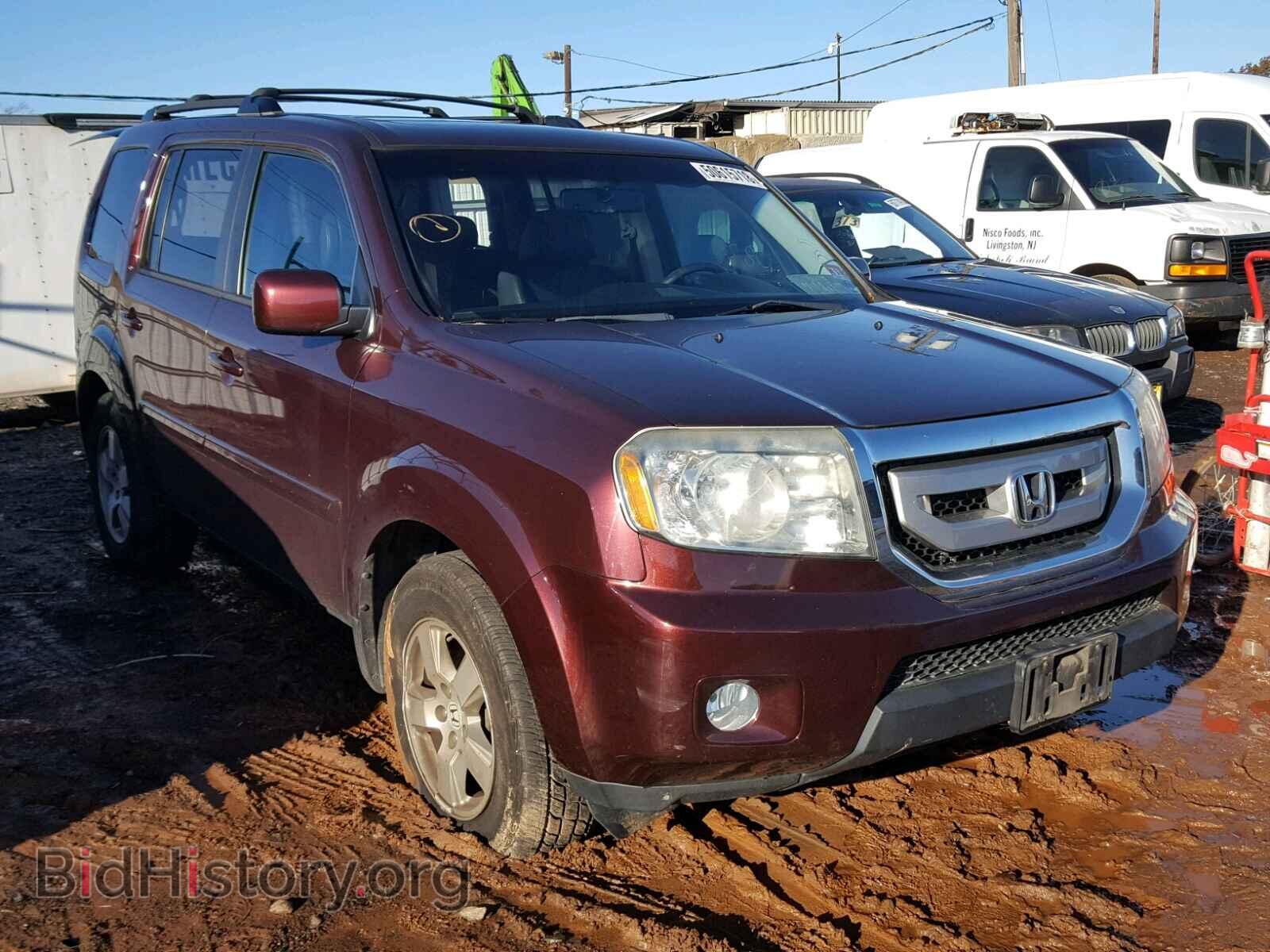 Фотография 5FNYF4H67BB079964 - HONDA PILOT EXL 2011