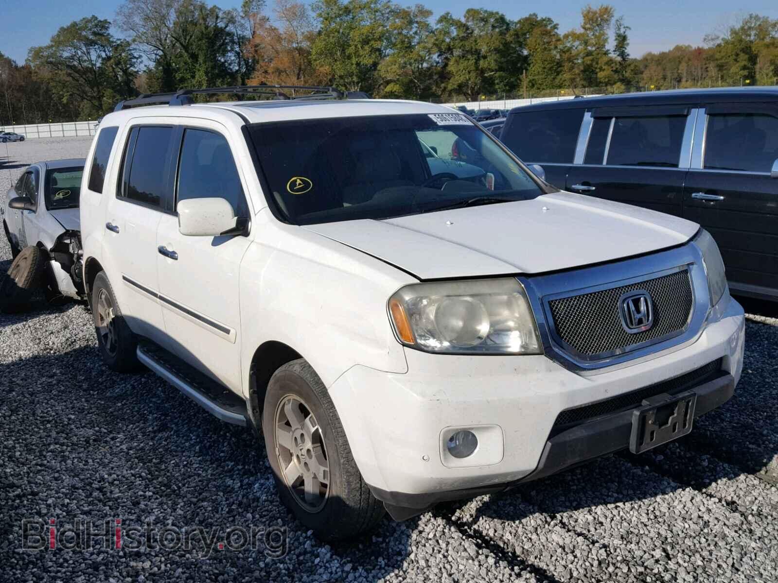 Фотография 5FNYF48859B031780 - HONDA PILOT 2009