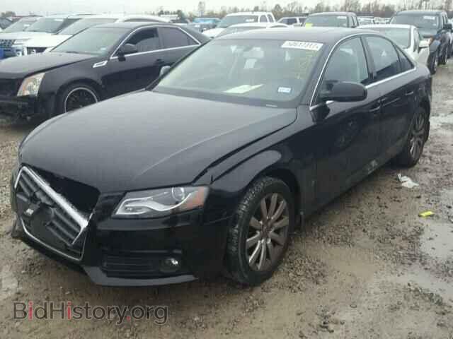 2010 AUDI A4 - VIN: WAUEFAFL7AN004852 - Фото 2