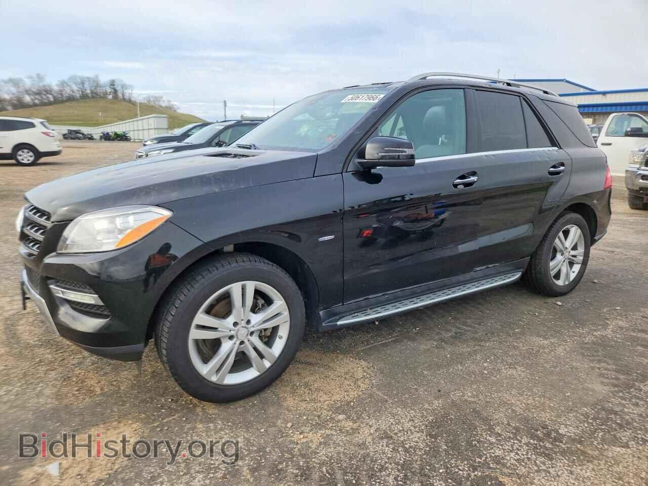 Photo 4JGDA5HB9CA044476 - MERCEDES-BENZ M-CLASS 2012