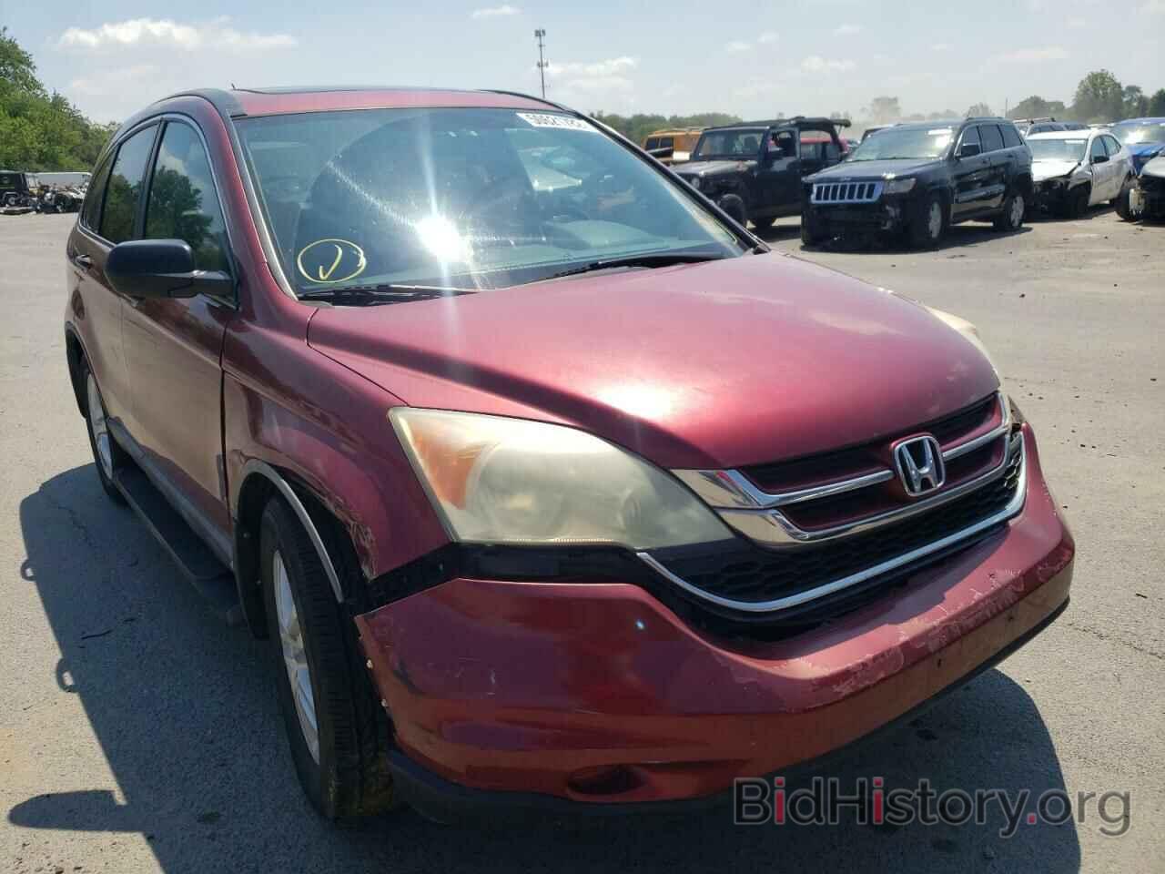 Photo 5J6RE4H50AL001594 - HONDA CRV 2010