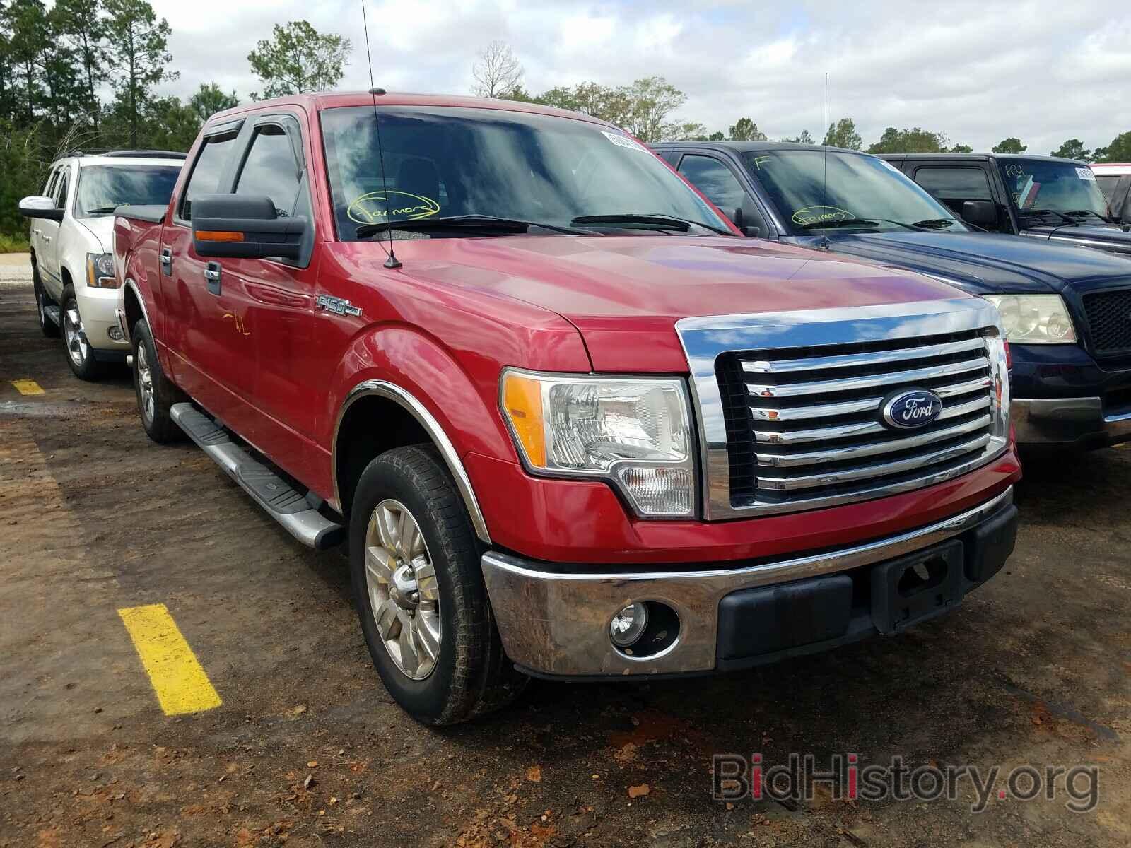 Photo 1FTEW1C86AFB28205 - FORD F150 2010