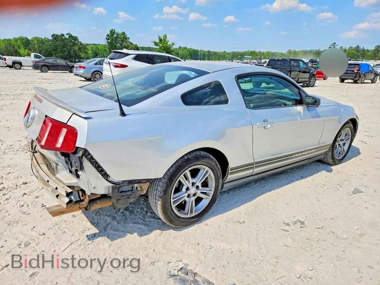 2010 FORD ALL Models - VIN: 1ZVBP8AN3A5176507 - Фото 3