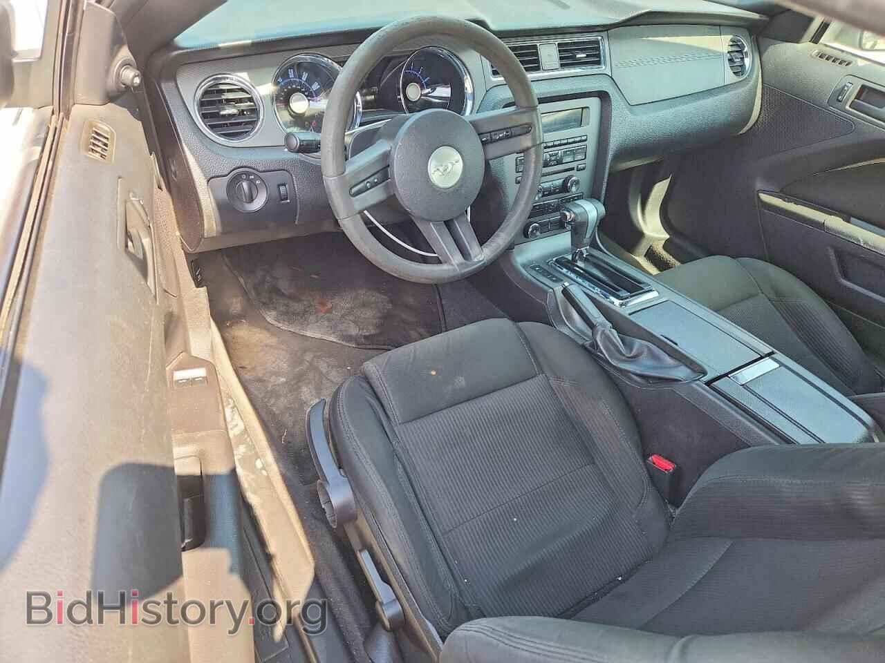 2010 FORD ALL Models - VIN: 1ZVBP8AN3A5176507 - Фото 8