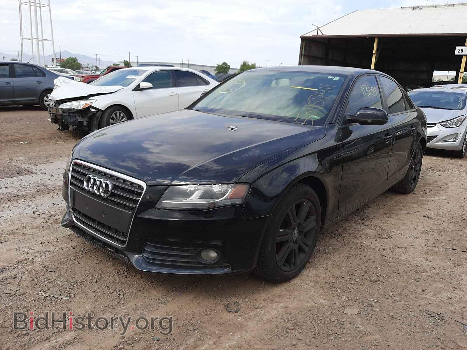 2010 AUDI A4 - VIN: WAUAFAFL4AN036544 - Фото 2