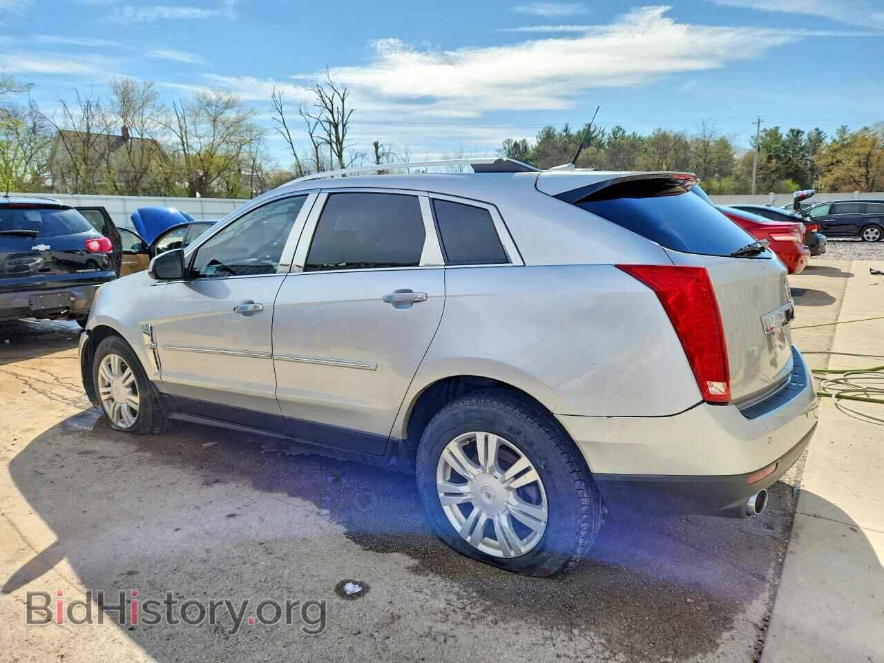 2011 CADILLAC SRX - VIN: 3GYFNDEY9BS638948 - Фото 2