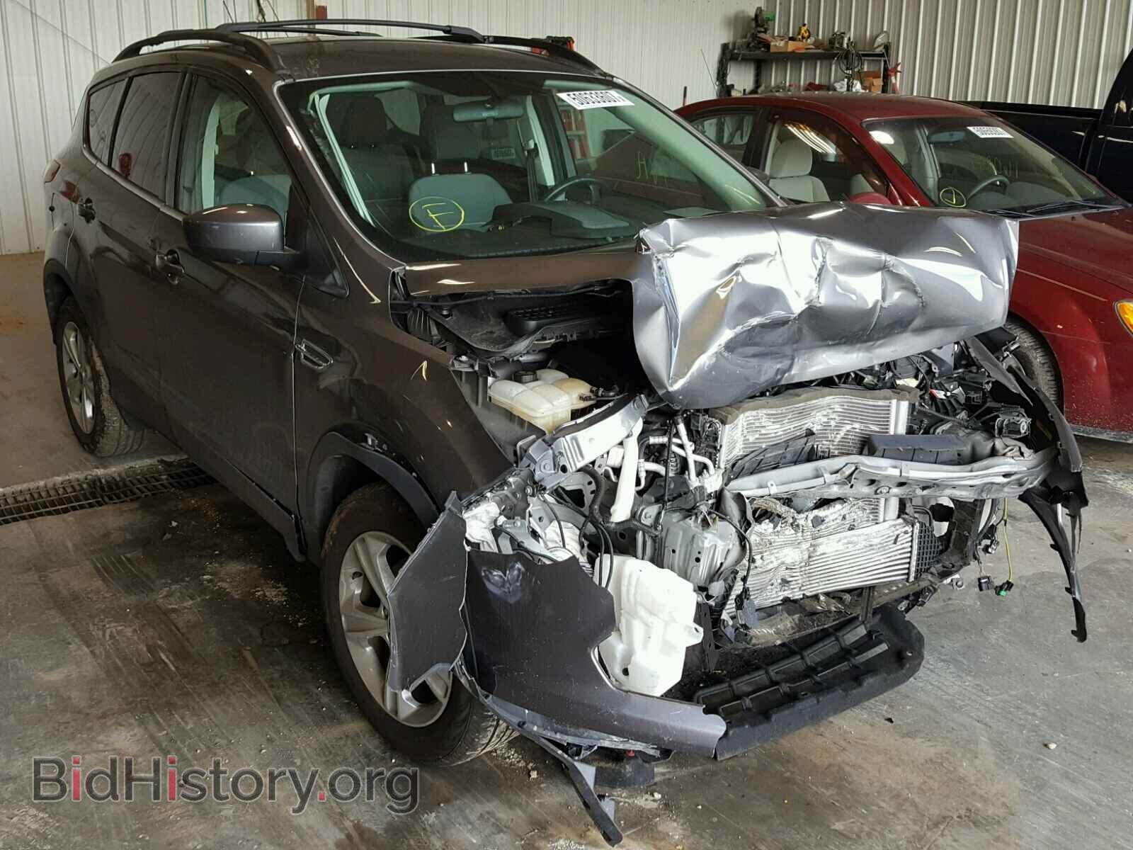 Фотография 1FMCU0GX1EUD83964 - FORD ESCAPE 2014