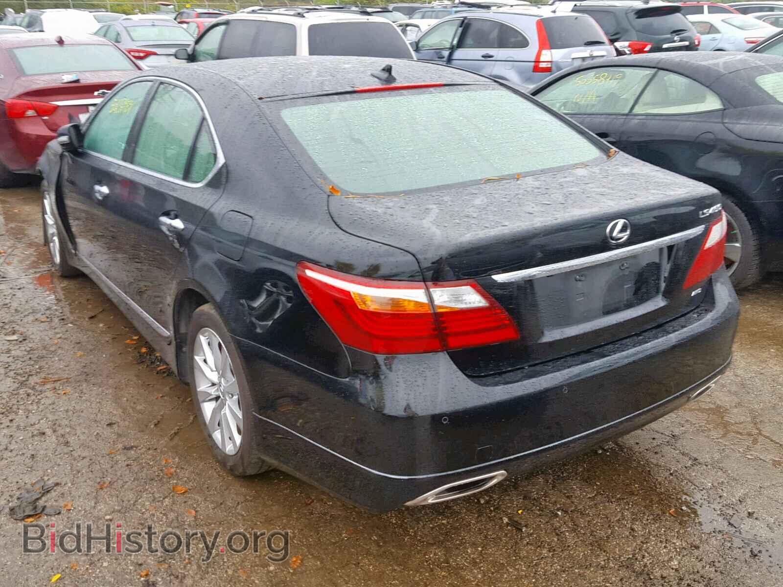 2011 LEXUS LS460 - VIN: JTHCL5EF9B5009878 - Фото 3