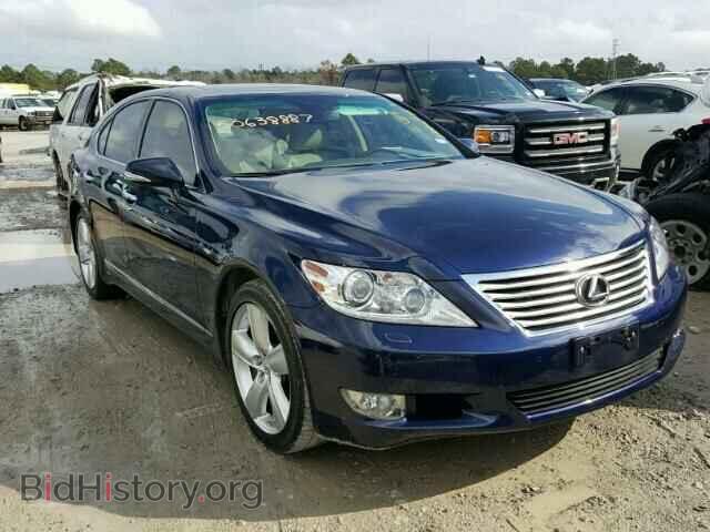 Фотография JTHBL5EF7A5097128 - LEXUS LS460 2010