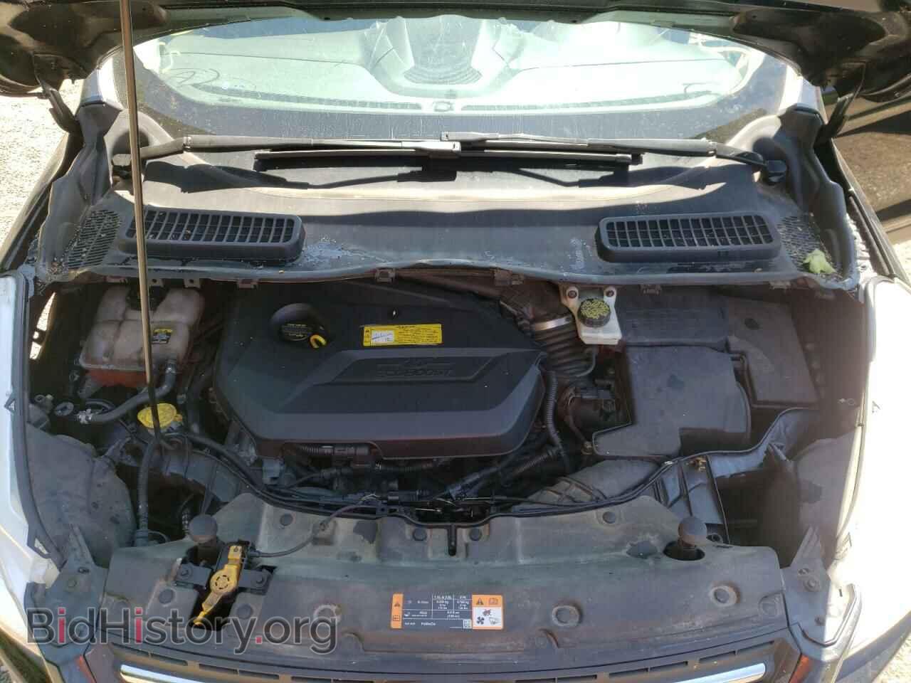 2013 FORD ESCAPE - VIN: 1FMCU0GX9DUA32007 - Фото 7