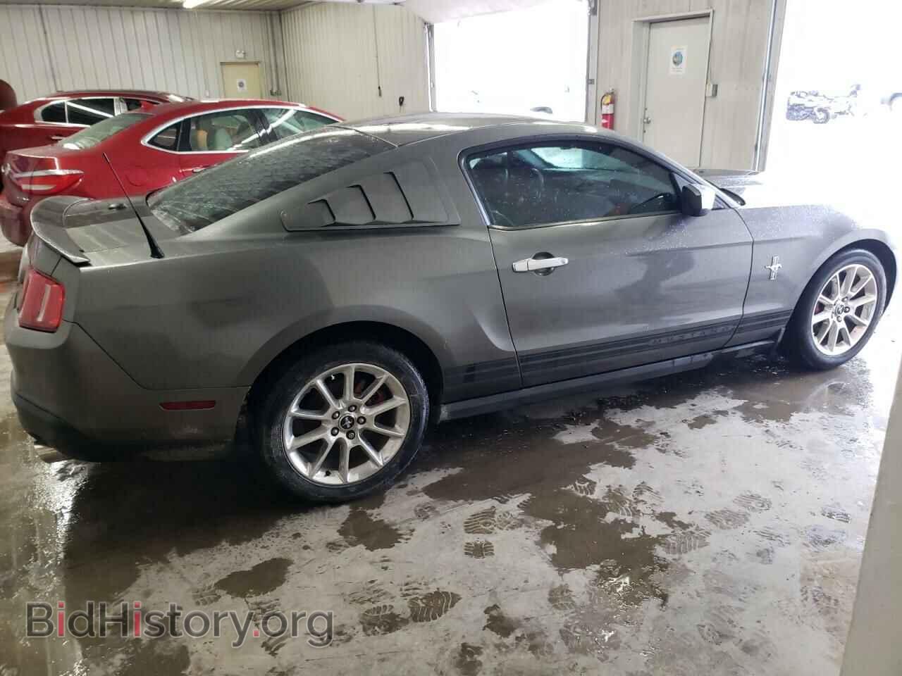 2010 FORD ALL Models - VIN: 1ZVBP8AN9A5131684 - Фото 3