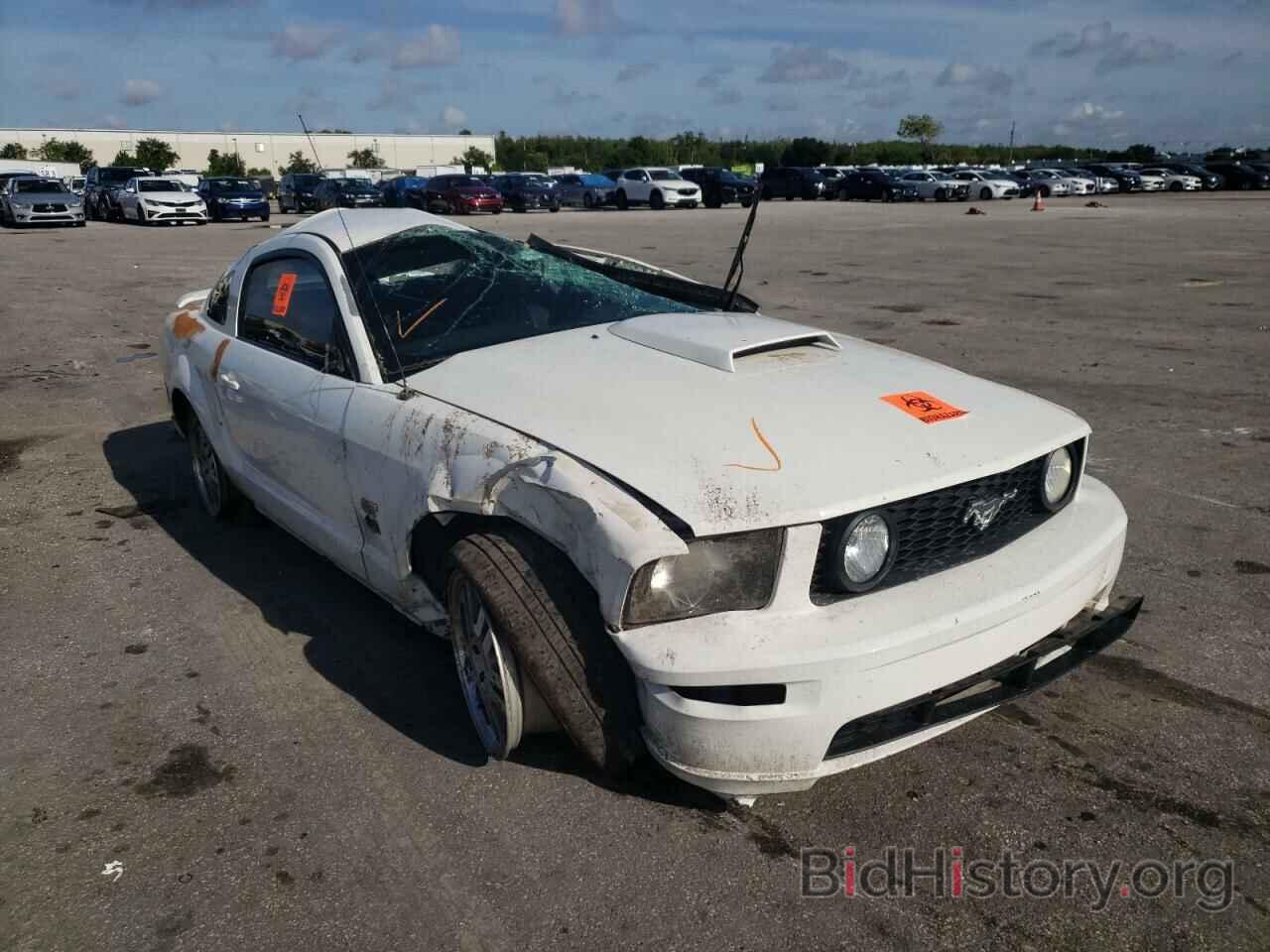 Photo 1ZVHT82H865177366 - FORD MUSTANG 2006