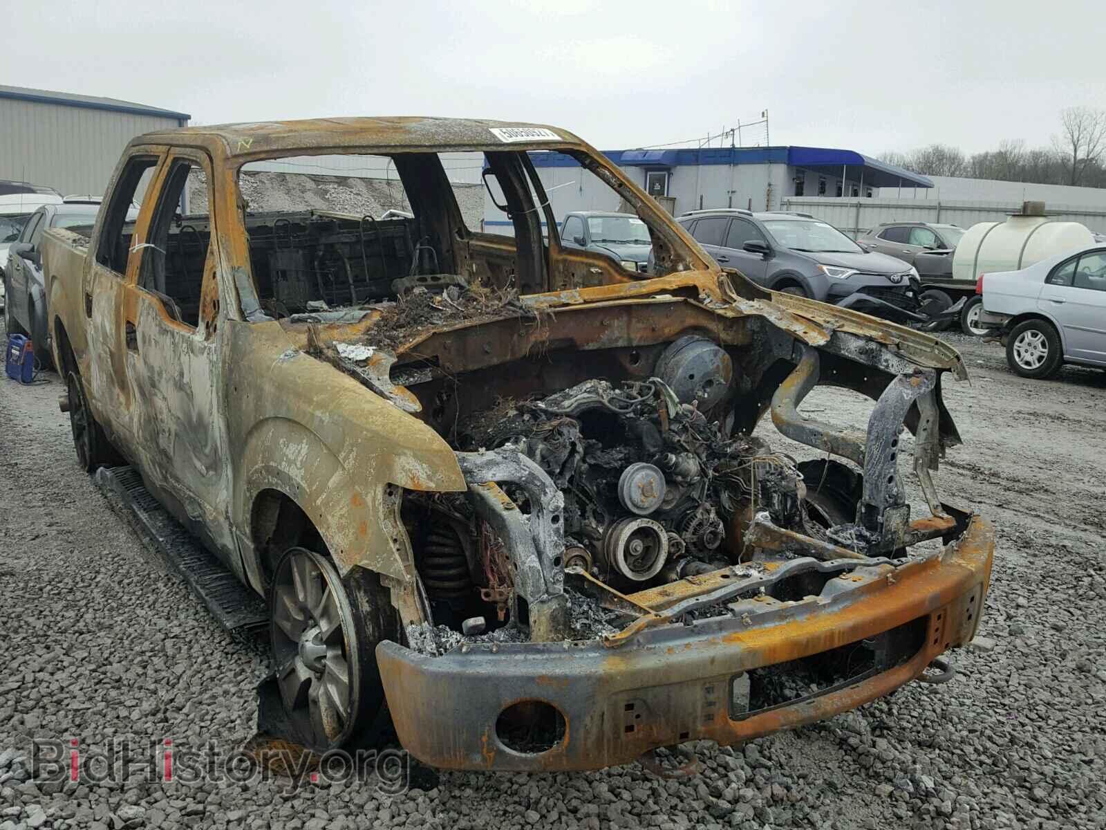 Фотография 1FTFW1EF2BFA56338 - FORD F150 2011