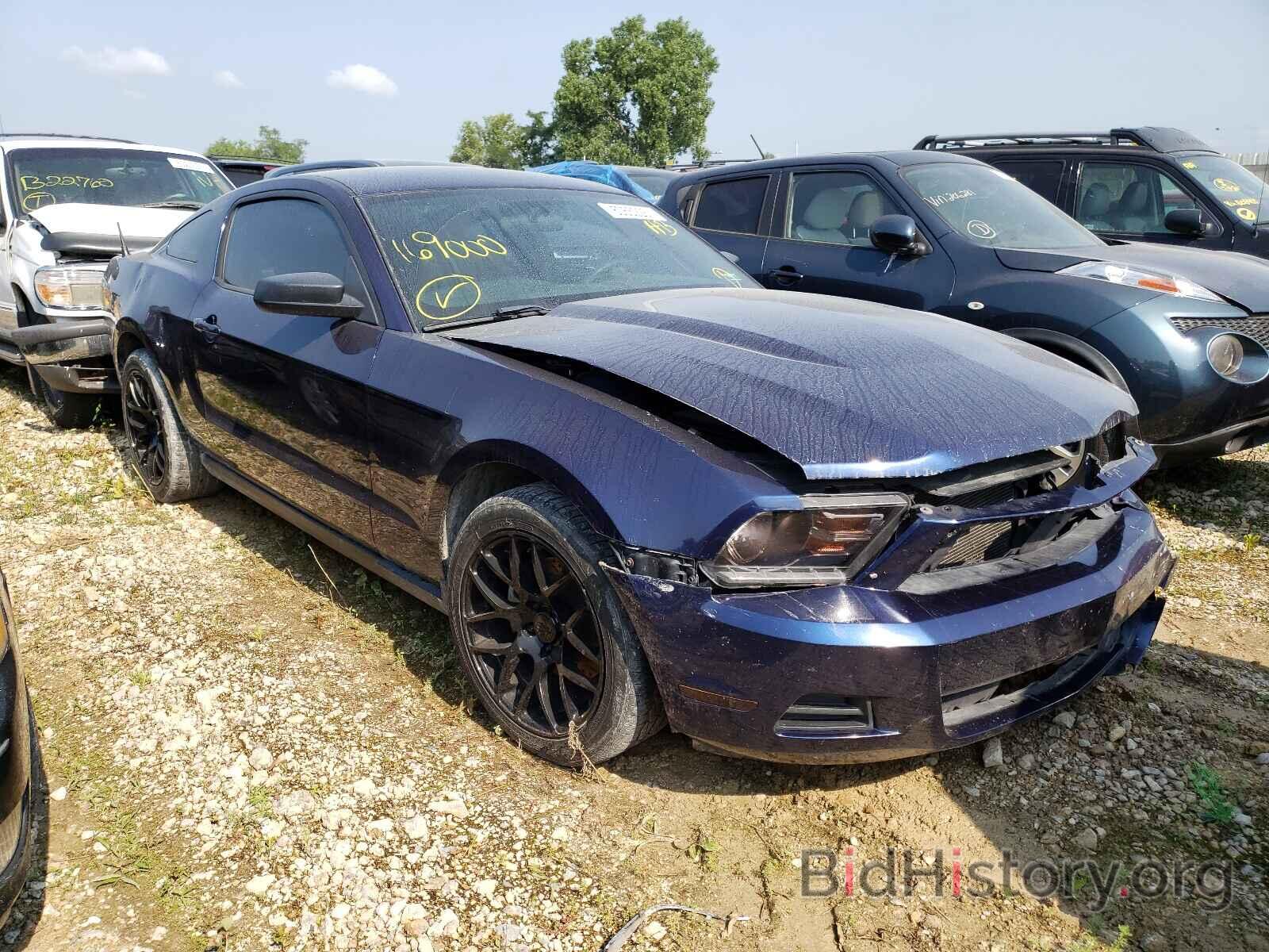 Фотография 1ZVBP8AMXB5169000 - FORD MUSTANG 2011