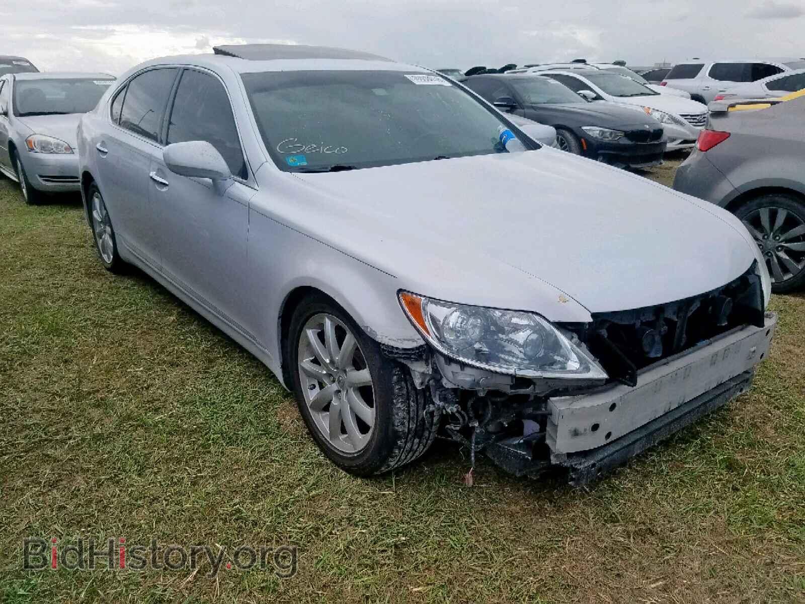 Фотография JTHGL46F885029459 - LEXUS LS460 2008