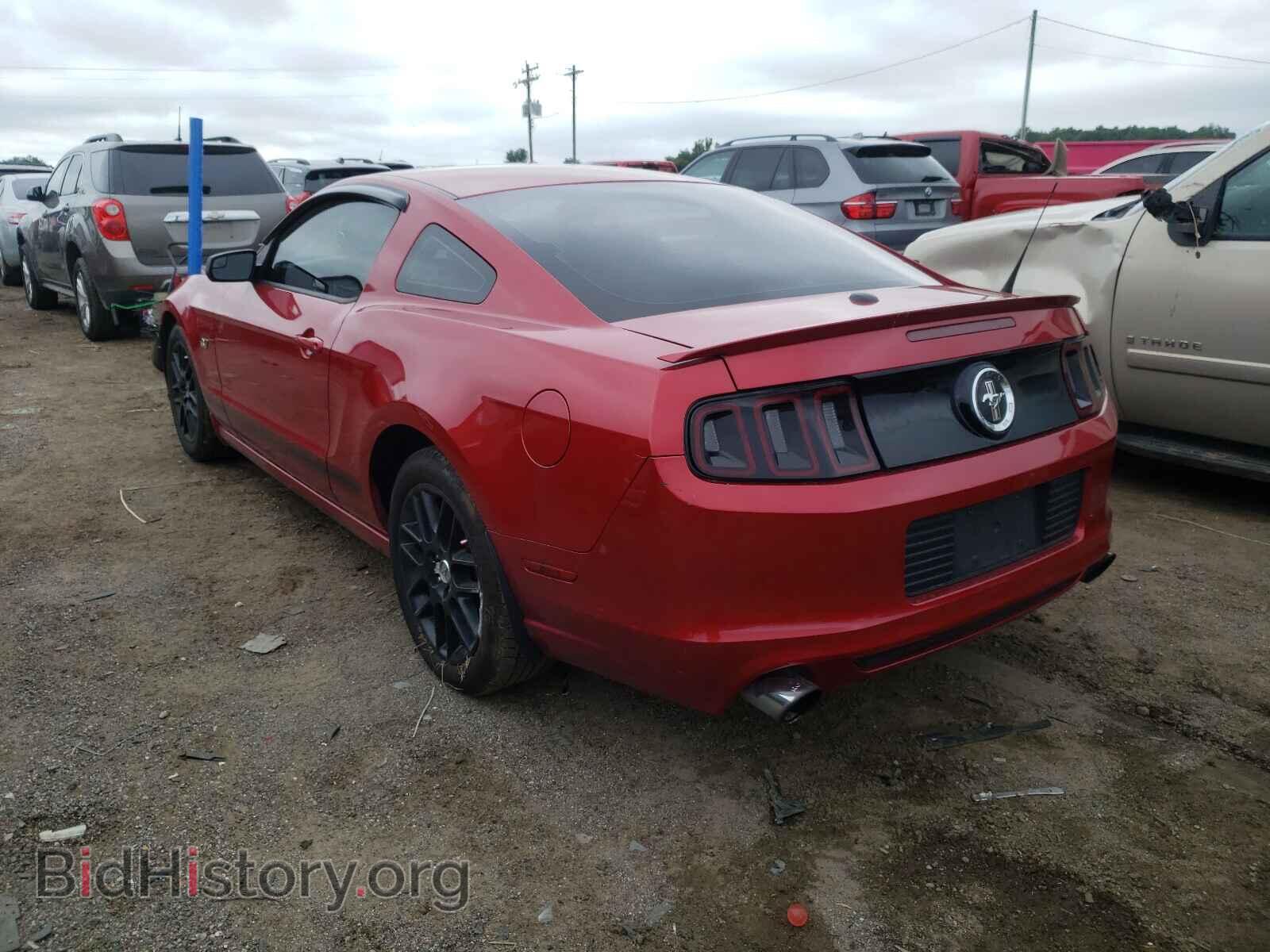2013 FORD MUSTANG - VIN: 1ZVBP8AM8D5252234 - Фото 3