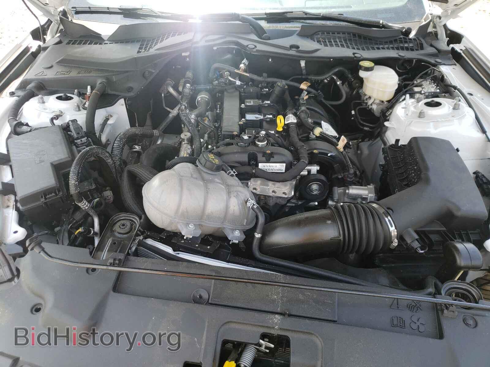2021 FORD MUSTANG - VIN: 1FA6P8TH9M5113904 - Фото 7