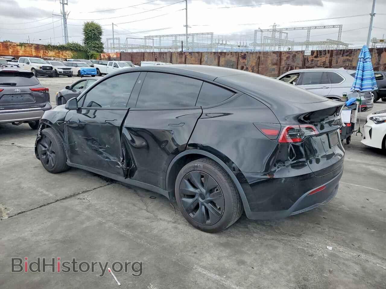 2024 TESLA MODEL Y - VIN: 7SAYGDED2RF166913 - Фото 2