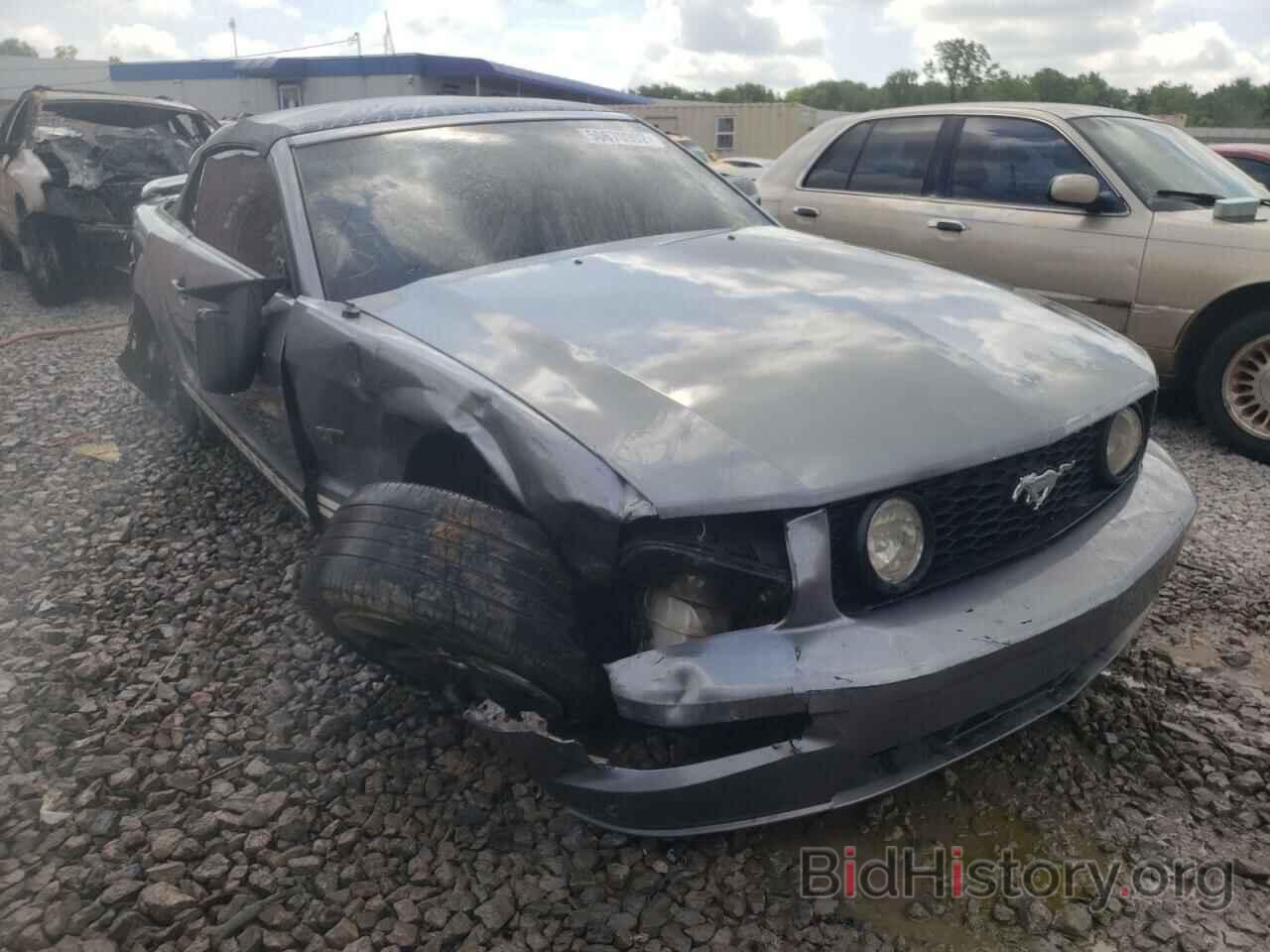 Photo 1ZVFT85H165236180 - FORD MUSTANG 2006